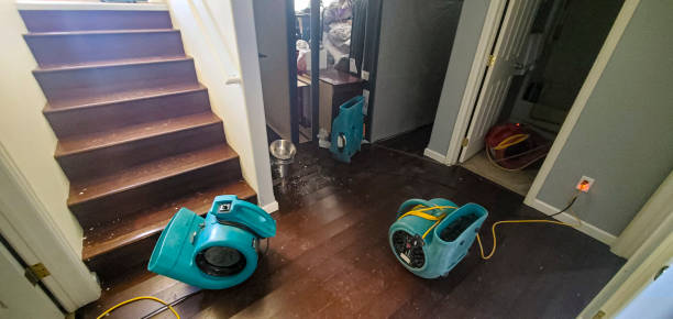 Best Flooded house restoration  in , MT