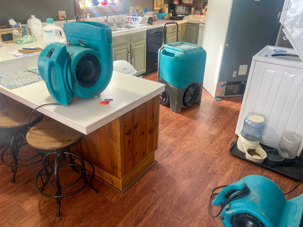 Best Water damage restoration near me  in , MT