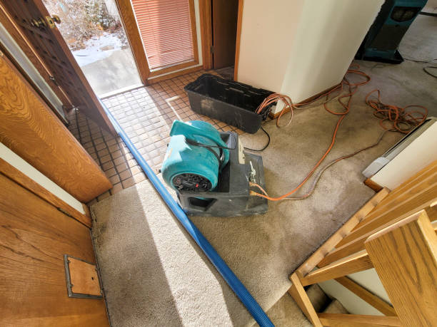 Best Water damage contractors near me  in , MT