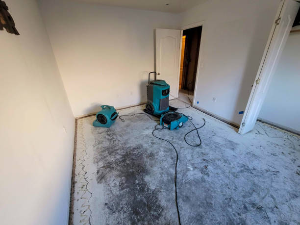 Best Flood damage cleanup  in , MT