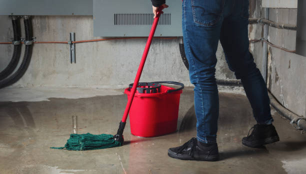 Best 24-hour water damage restoration  in , MT