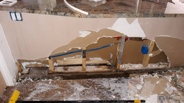 Best Water damage restoration cost  in , MT