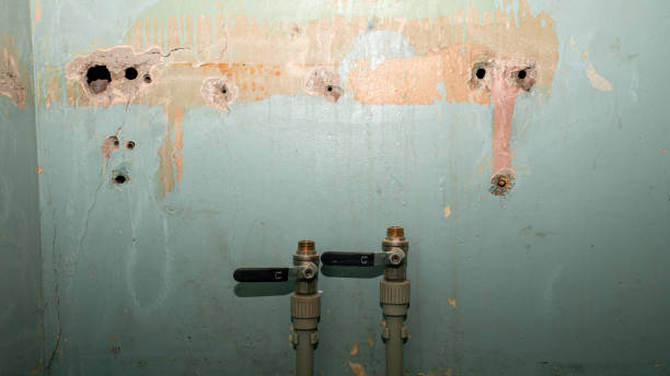Best Basement water damage restoration  in , MT