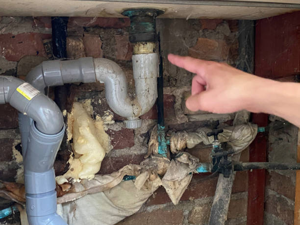 Best Local water damage restoration  in , MT