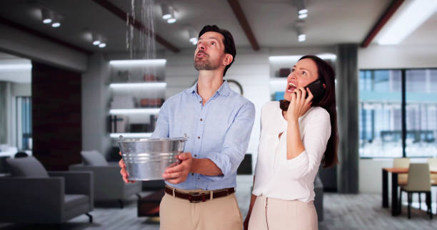 Best Fire Damage Restoration  in , MT